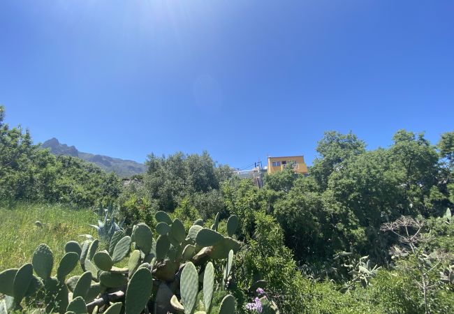 Villa in Valsequillo - La Maison de la Lune