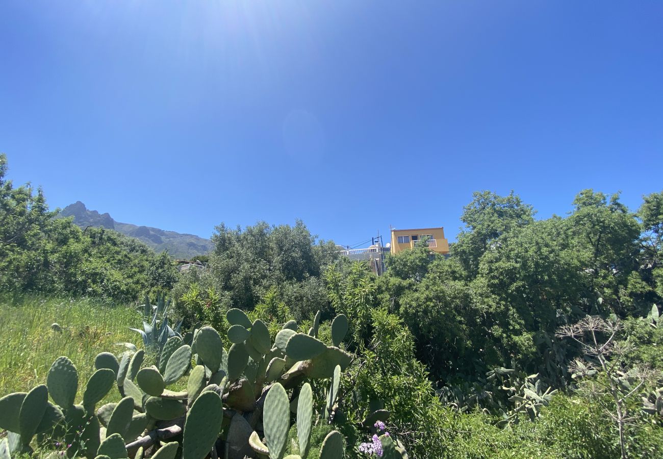 Villa in Valsequillo - La Maison de la Lune