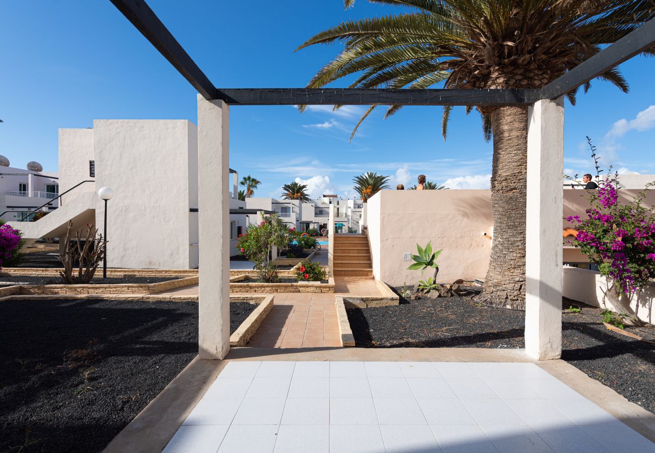Apartment in Corralejo - Apartment with terrace, swimming pool and beachfront in Corralejo - Home For Guest