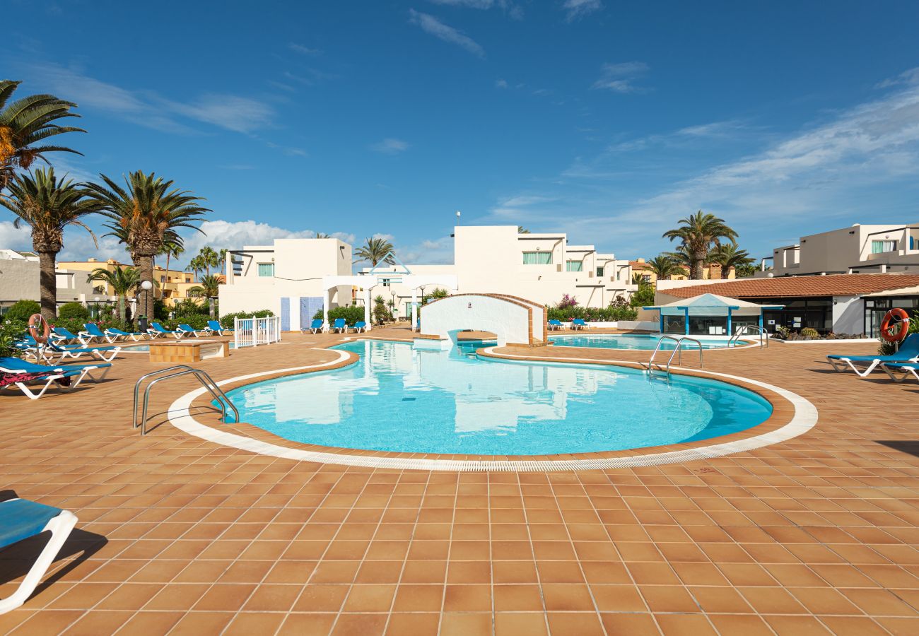 Apartment in Corralejo - Apartment with terrace, swimming pool and beachfront in Corralejo - Home For Guest