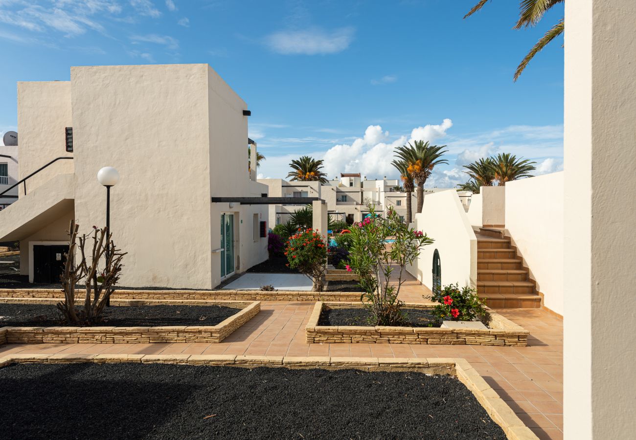 Apartment in Corralejo - Apartment with terrace, swimming pool and beachfront in Corralejo - Home For Guest