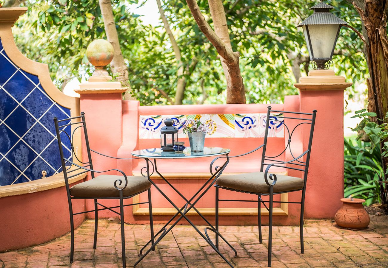 Apartment in Tacoronte - HomeForGuest Cosy rural flat El Romero with large gardens