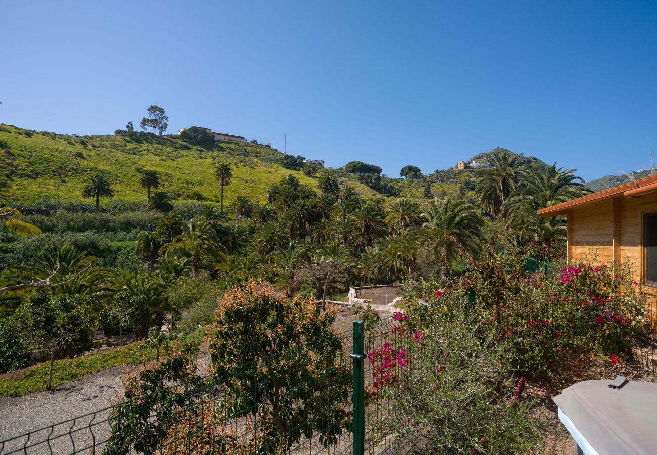 Country house in Telde - Casa África - Finca Cruz Mayor