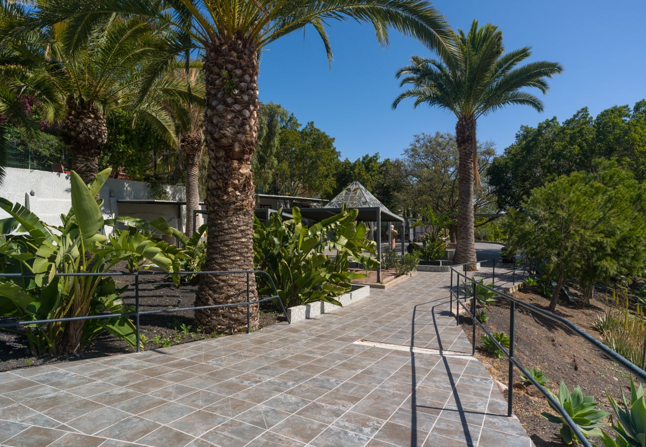 Country house in Telde - Casa África - Finca Cruz Mayor