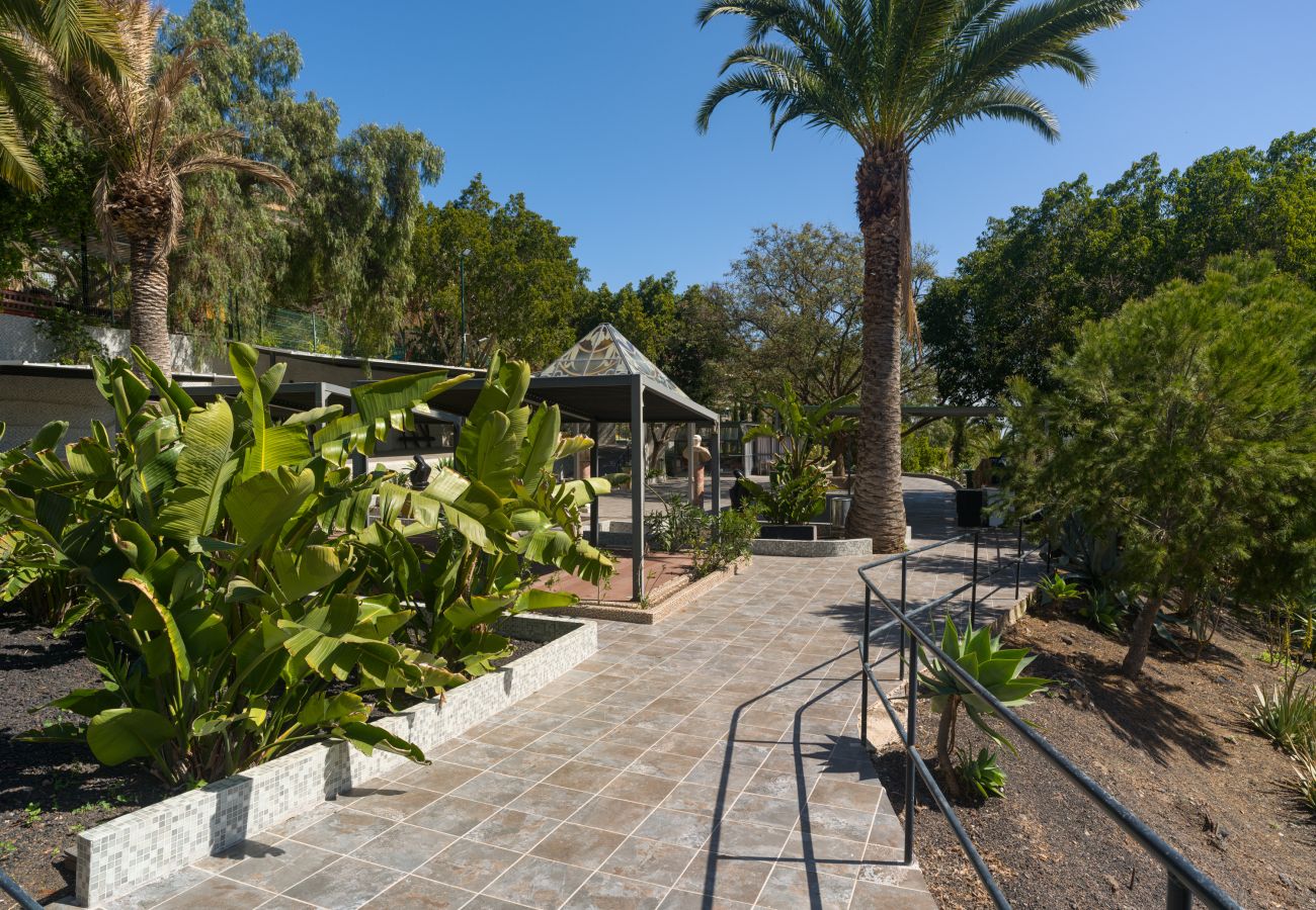 Country house in Telde - Casa África - Finca Cruz Mayor