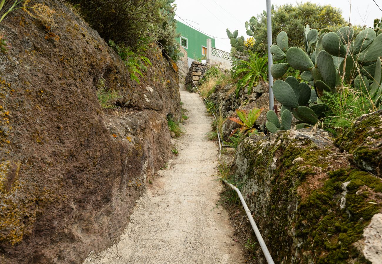 Cottage in Gáldar -  Cave house in Gáldar