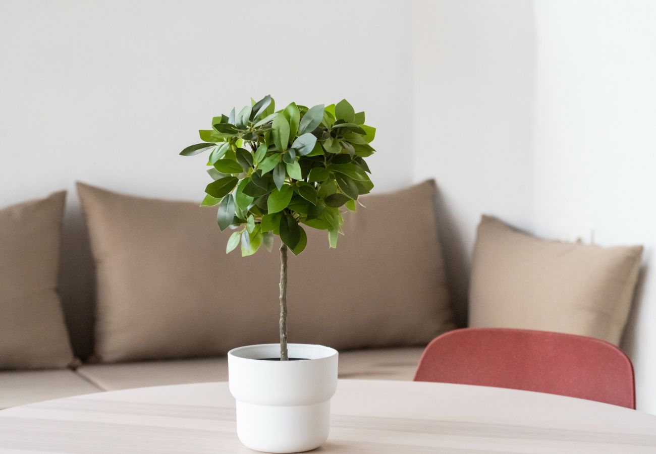 Apartment in Santa Cruz de Tenerife - Refugio de paz en medio de la naturaleza