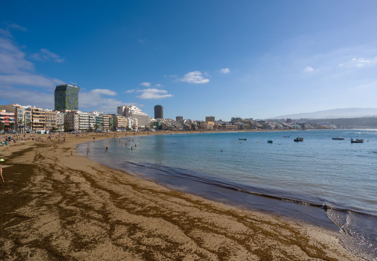 House in Las Palmas de Gran Canaria - Atlantic Nest By CanariasGetaway 